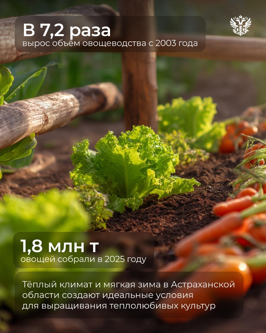 Интересный факт № 1: астраханские арбузы так хороши, что стали региональным брендом