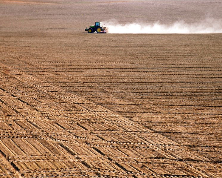 Ростовская область в ходе посевной кампании 2026 года намерена использовать 100% семян зерновых и зернобобовых отечественной селекции. План по заготовке семян…