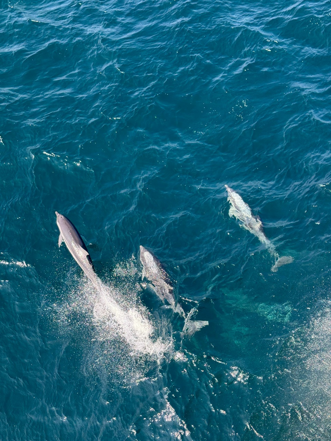 Эту подборку фотографий вы точно запомните