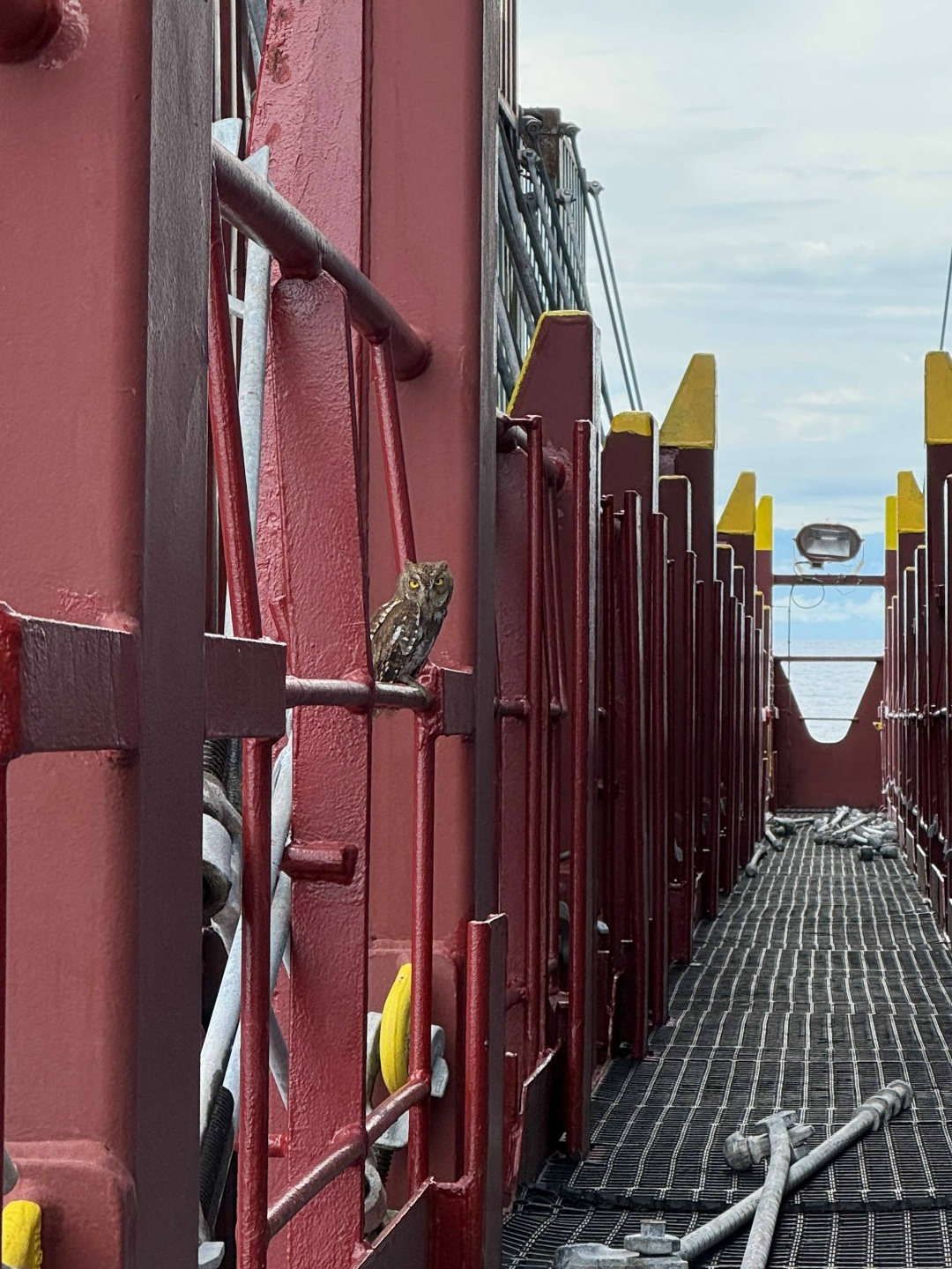 Эту подборку фотографий вы точно запомните