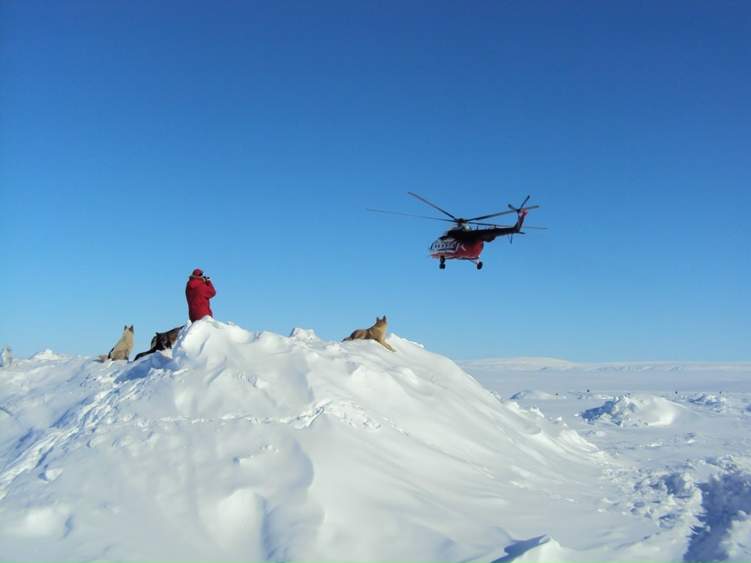 Здоровье полярников будет под присмотром