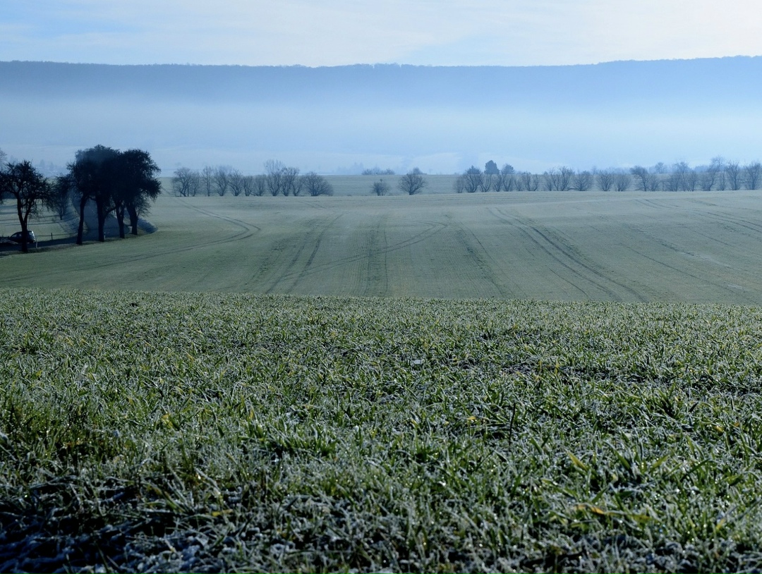 По прогнозу Минсельхоза, в 2026 году будет застраховано 15,6 млн га, или 20,4% от всех посевов. Пиковым по застрахованным посевным площадям был 2024 год –…
