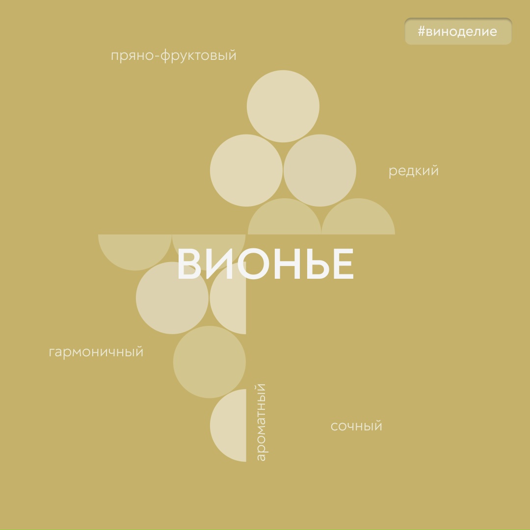 Вино со вкусом лета! Сегодня в нашей совместной с «Винным гидом России» рубрике #вино_недели рассказываем о редком и благородном сорте винограда «Вионье».