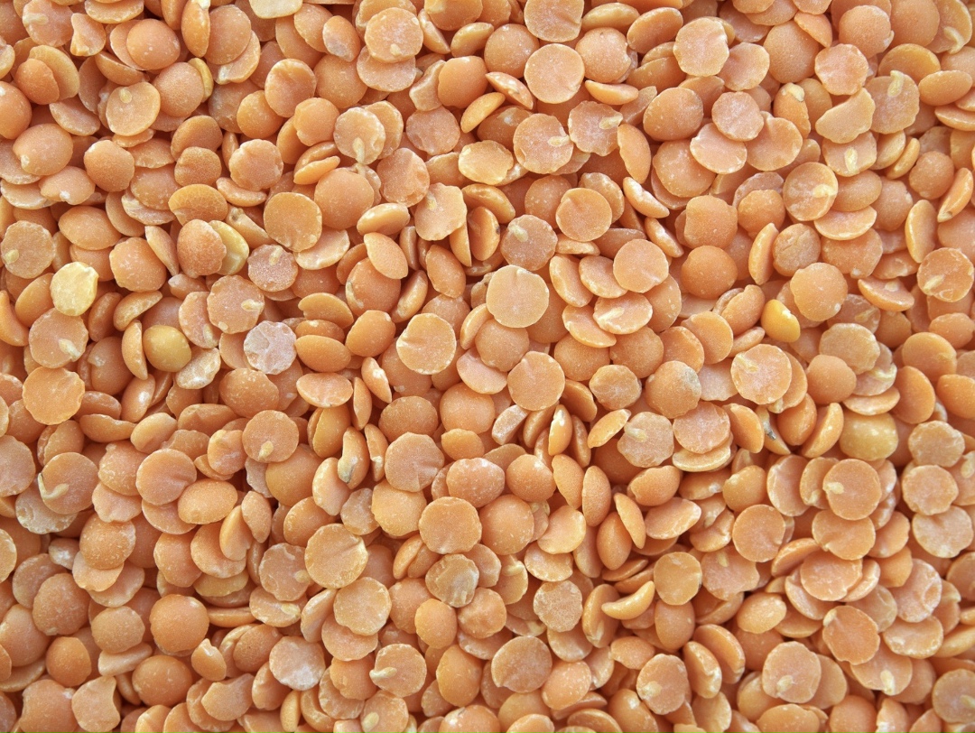 В прошлом году Россия экспортировала рекордные 300 тыс. т чечевицы на $183 млн. На топ-5 стран-импортеров пришлось 89% от всего объема поставок, сообщается в…