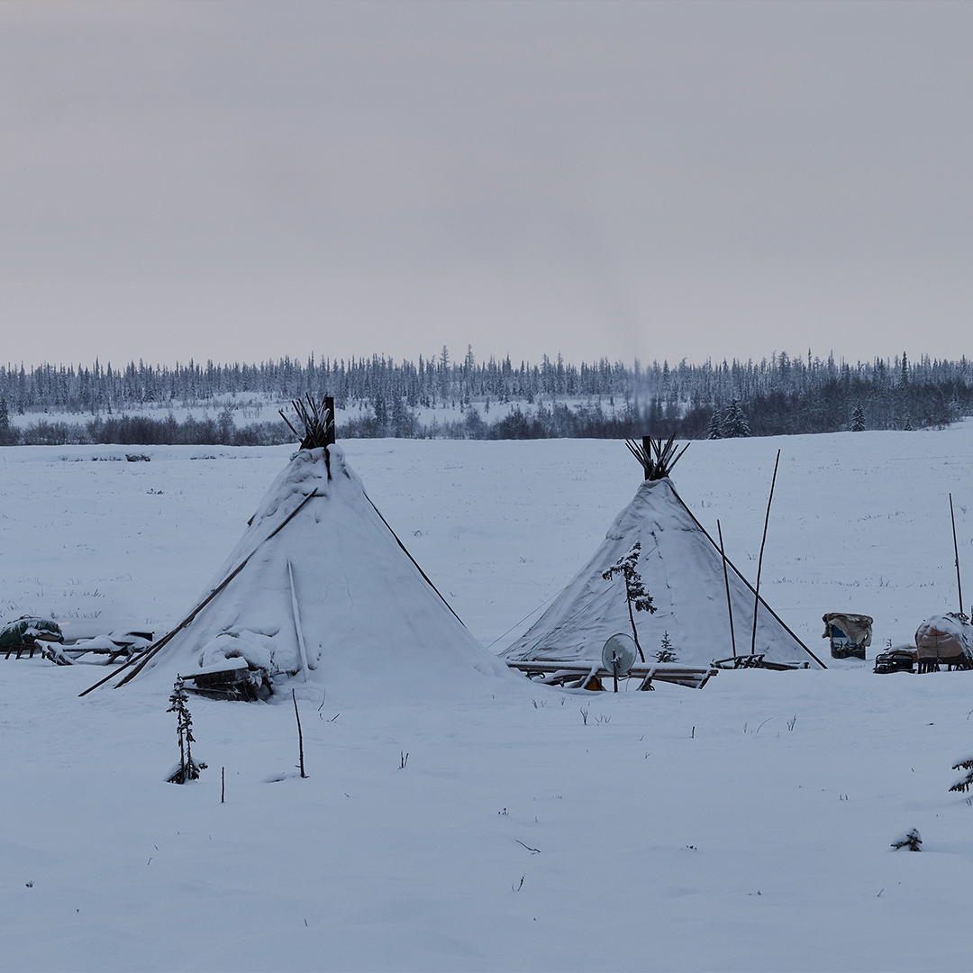 Сегодня Россия отмечает День Арктики – бескрайнего и завораживающего региона. Это край хрупкой красоты и кладовая ресурсов нашей страны