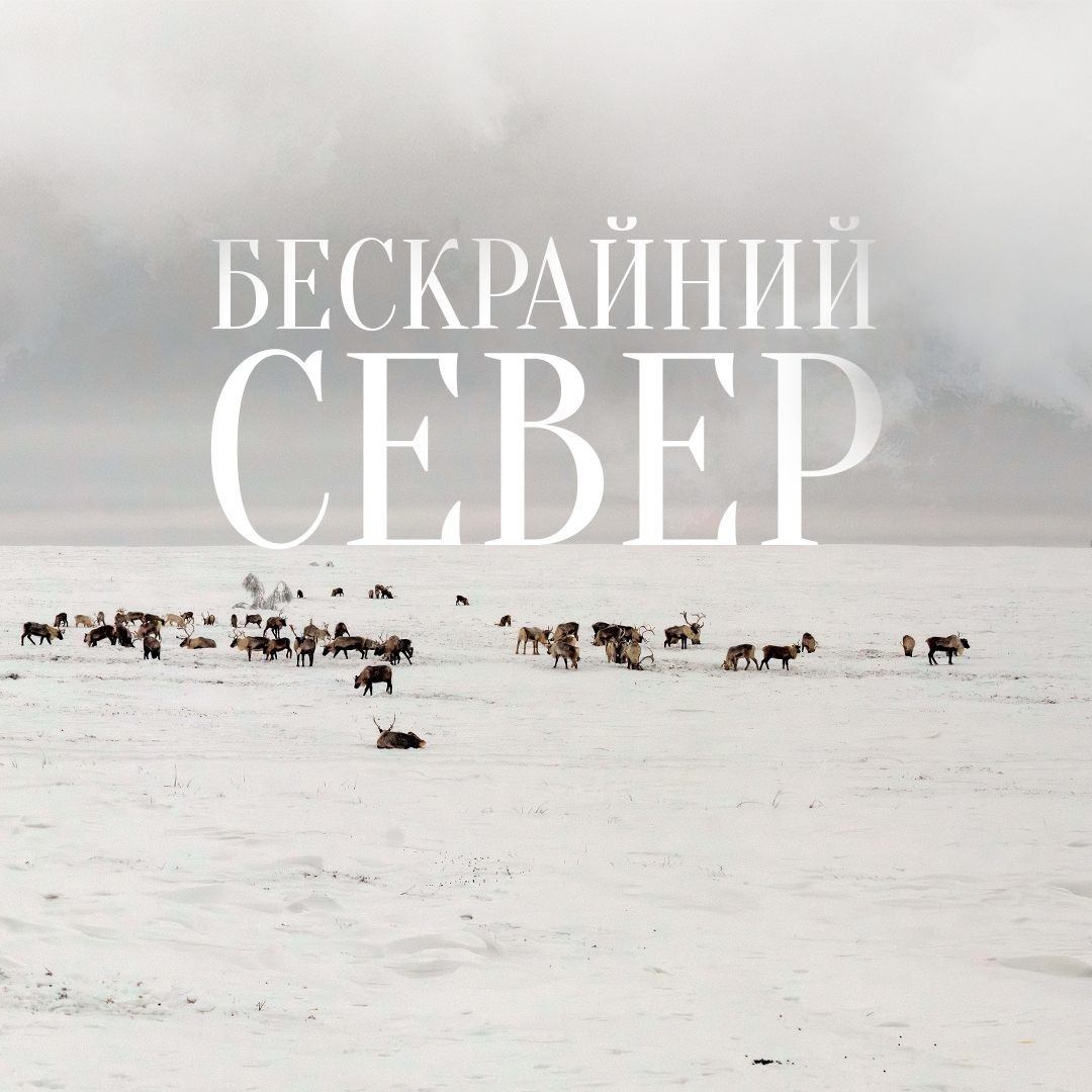 Сегодня Россия отмечает День Арктики – бескрайнего и завораживающего региона. Это край хрупкой красоты и кладовая ресурсов нашей страны