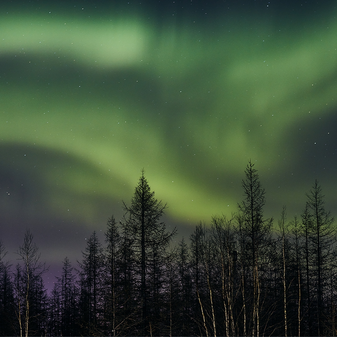 Сегодня Россия отмечает День Арктики – бескрайнего и завораживающего региона. Это край хрупкой красоты и кладовая ресурсов нашей страны