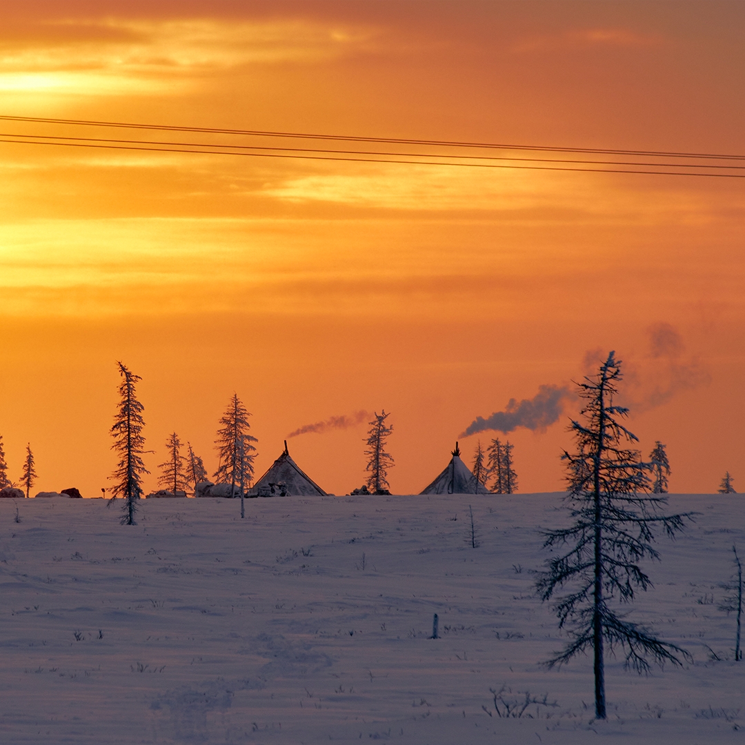 Сегодня Россия отмечает День Арктики – бескрайнего и завораживающего региона. Это край хрупкой красоты и кладовая ресурсов нашей страны