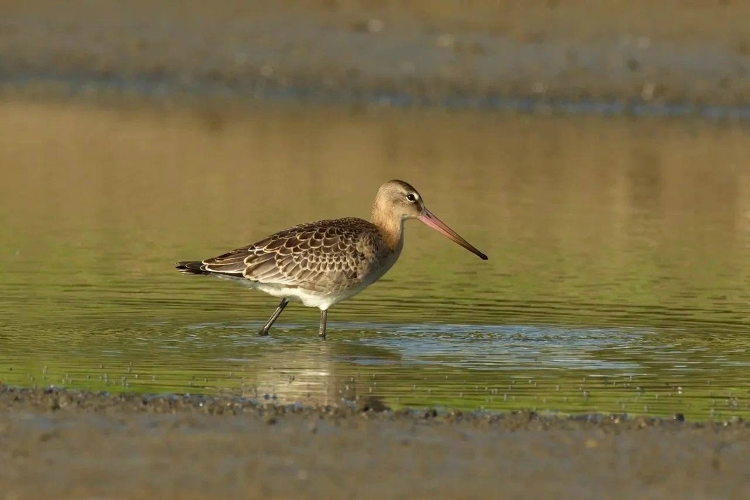 Полёт творчества Невероятные кадры из Нижегородской области от нашего коллеги Вячеслава Юсупова.