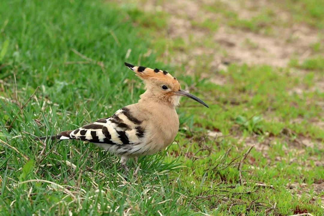 Полёт творчества Невероятные кадры из Нижегородской области от нашего коллеги Вячеслава Юсупова.