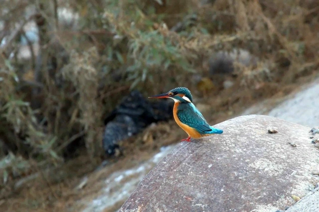 Полёт творчества Невероятные кадры из Нижегородской области от нашего коллеги Вячеслава Юсупова.