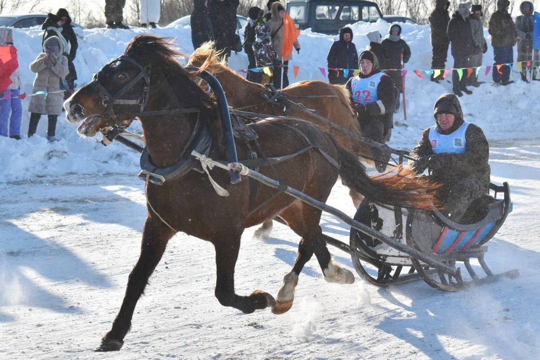 Ижемский ипподром При поддержке ЛУКОЙЛа в старинном селе Республики Коми состоялись традиционные конноспортивные состязания.