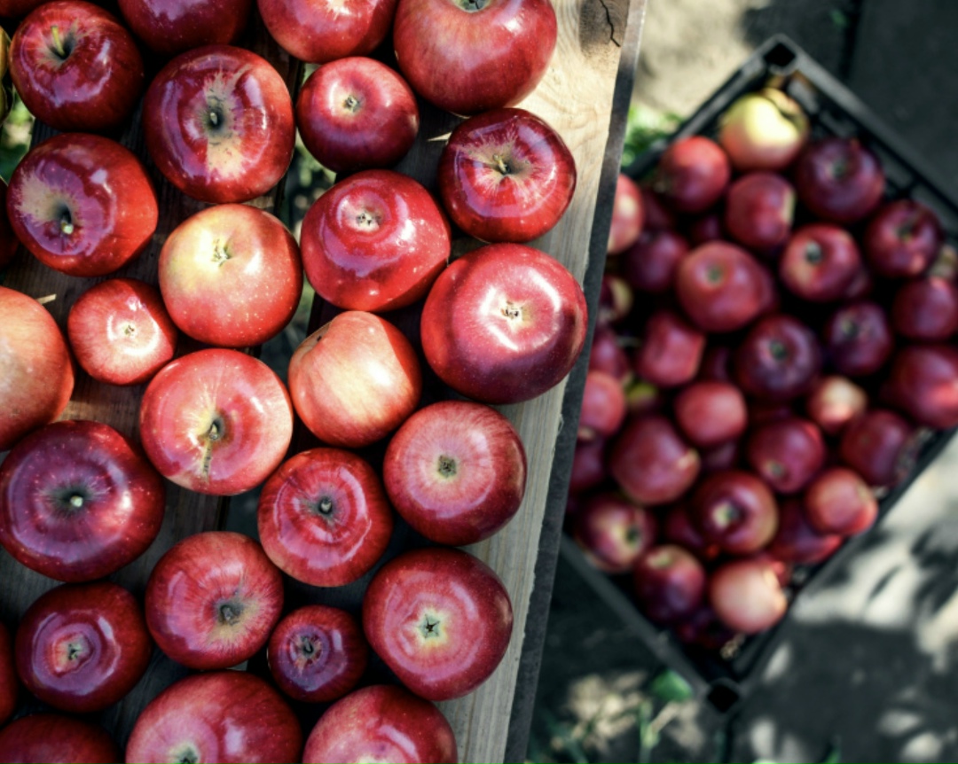 Выручка ГК «Рост» в 2025 году, по предварительным данным, составила 81,9 млрд руб., увеличившись год к году на 10%. По итогам 2024-го она прибавила 59,4%, до…