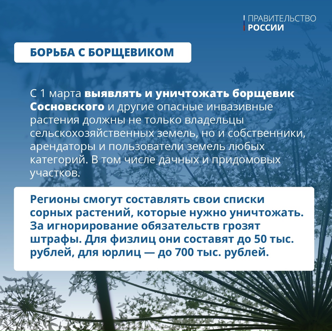 С 1 марта в России продлят сроки оплаты ЖКХ, запретят автоматические списания за онлайн-подписки, ужесточат требования к аудиовизуальным произведениям, введут…