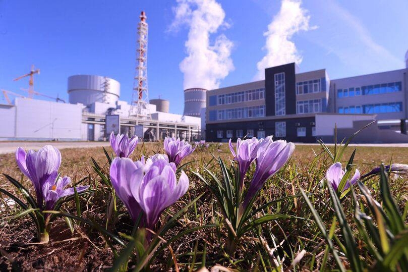 #ФотоНедели: первые крокусы — энергия весны уже рядом