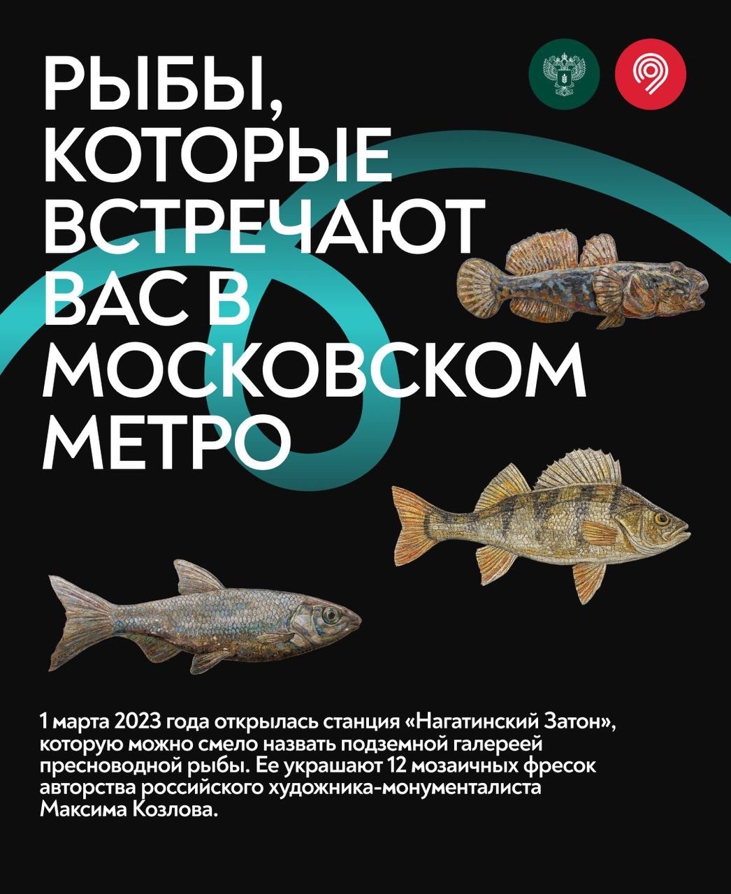 Самая «рыбная» станция Москвы Большой кольцевой линии Московского метрополитена – 3 года!