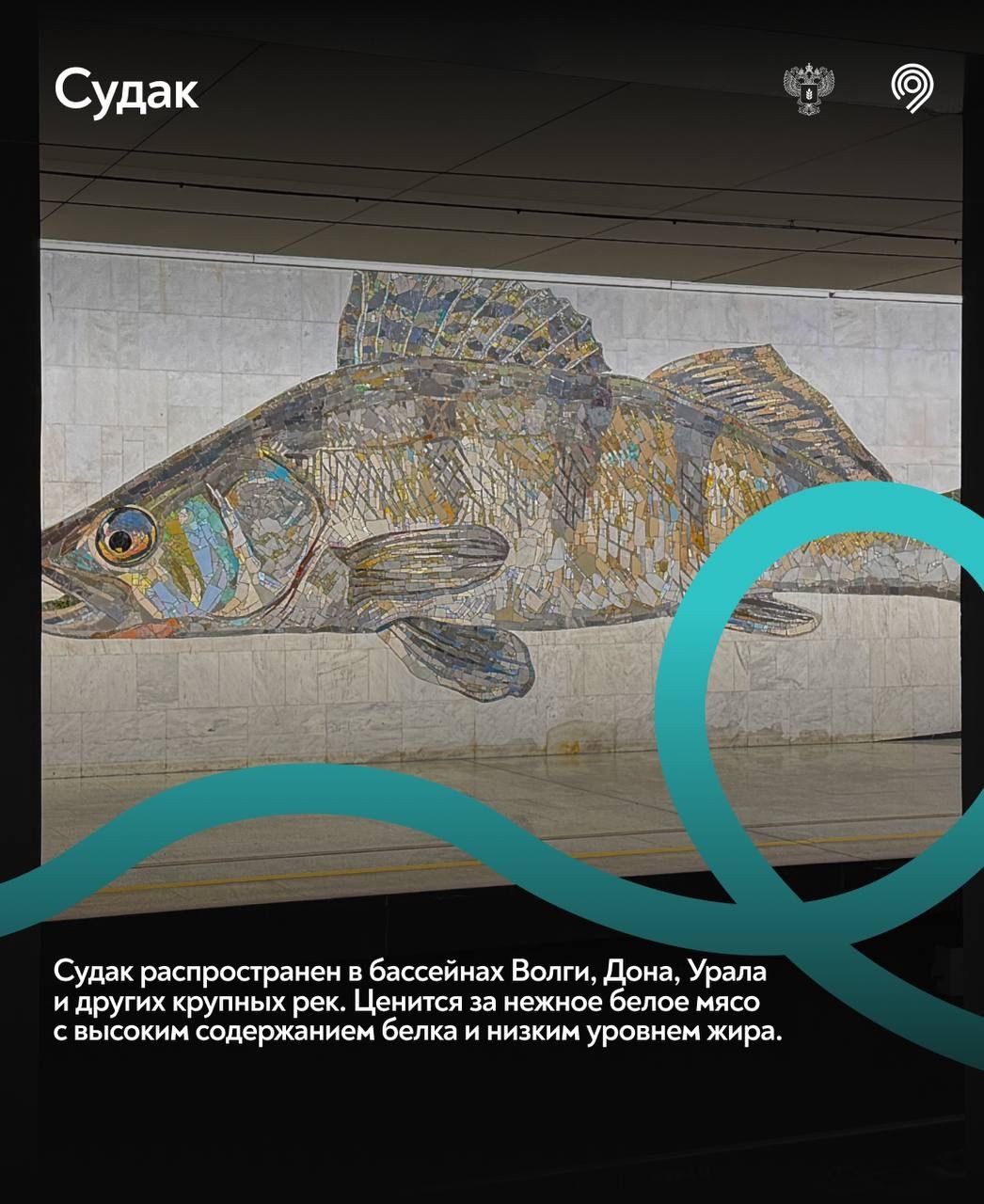 Самая «рыбная» станция Москвы Большой кольцевой линии Московского метрополитена – 3 года!