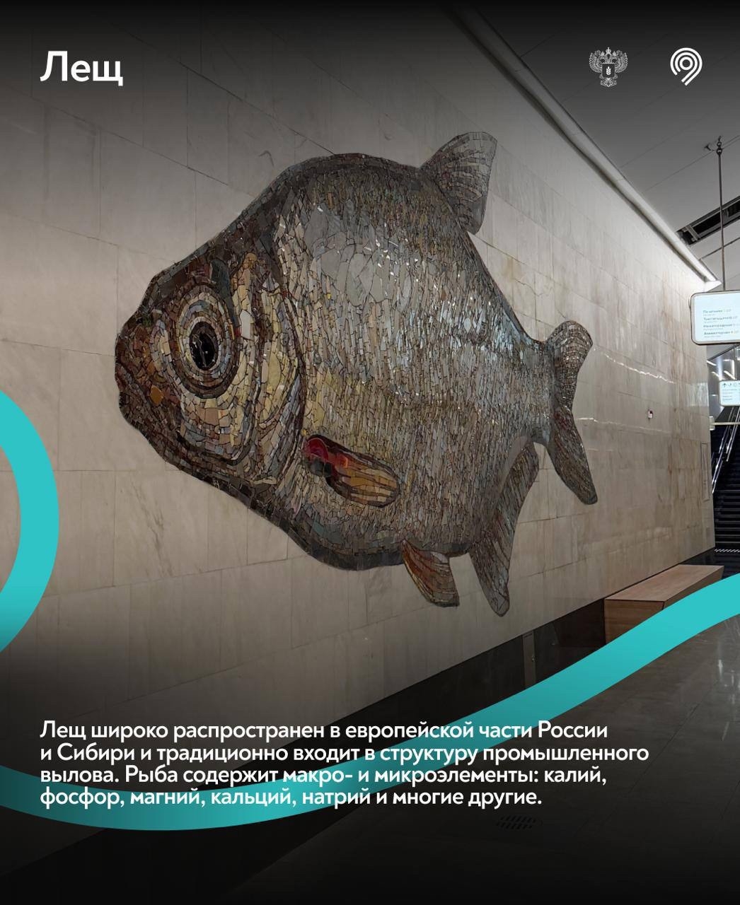 Самая «рыбная» станция Москвы Большой кольцевой линии Московского метрополитена – 3 года!