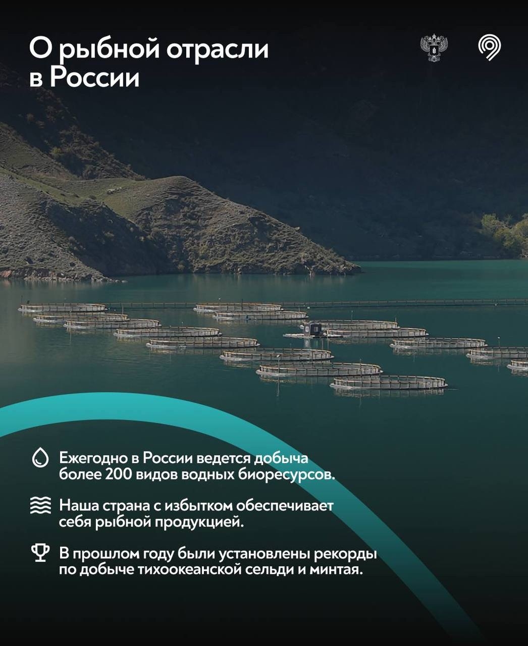 Самая «рыбная» станция Москвы Большой кольцевой линии Московского метрополитена – 3 года!