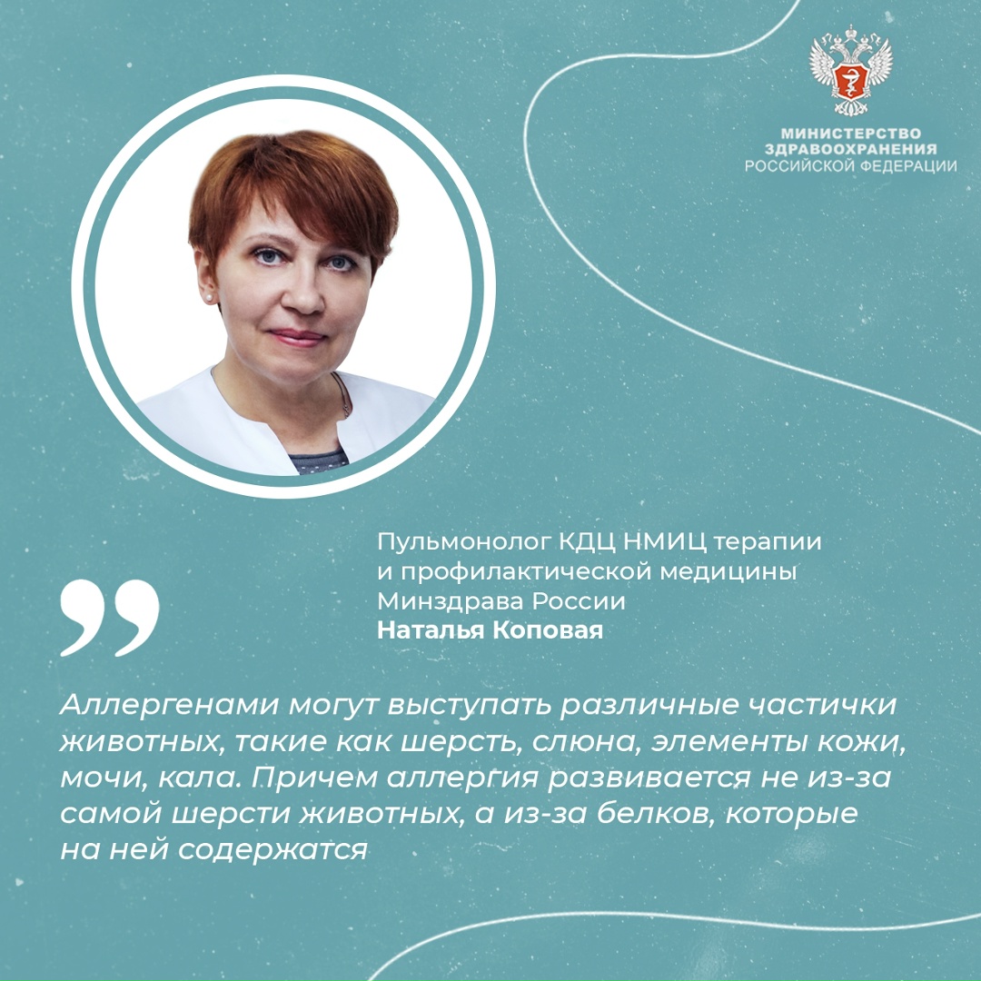 #ПростыеПравила: Как проявляется аллергия на кошек и что делать при ее возникновении?