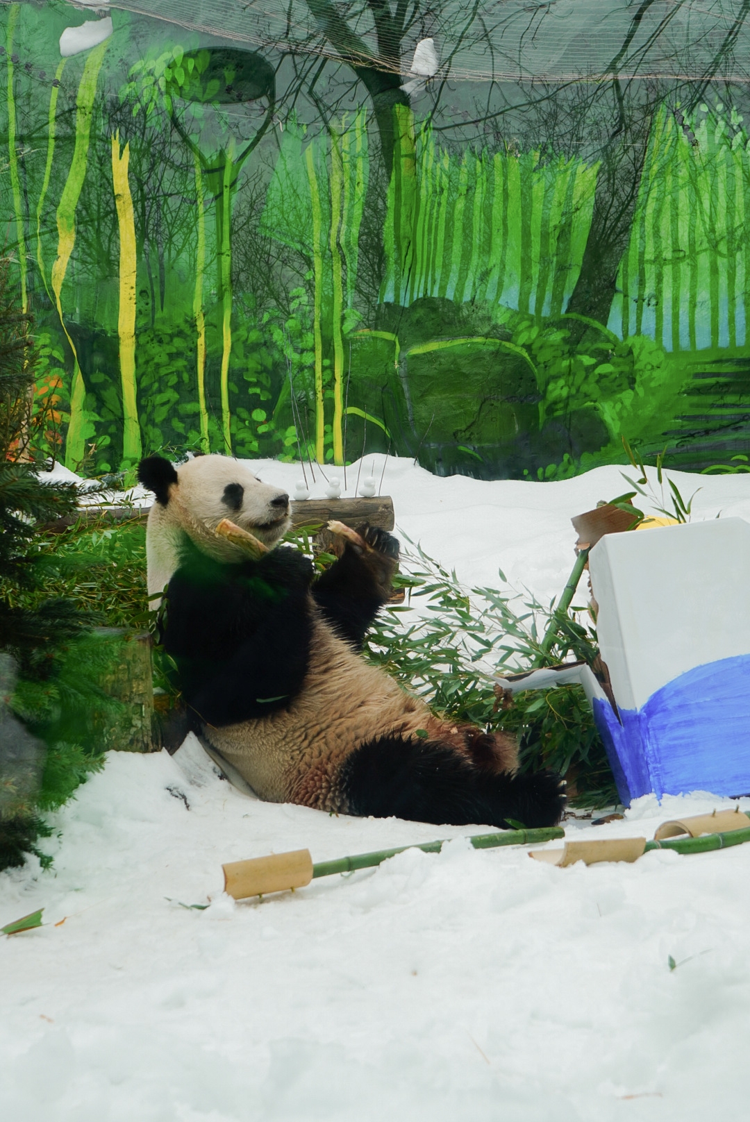 Ну как устоять перед лакомством в первый день весны?