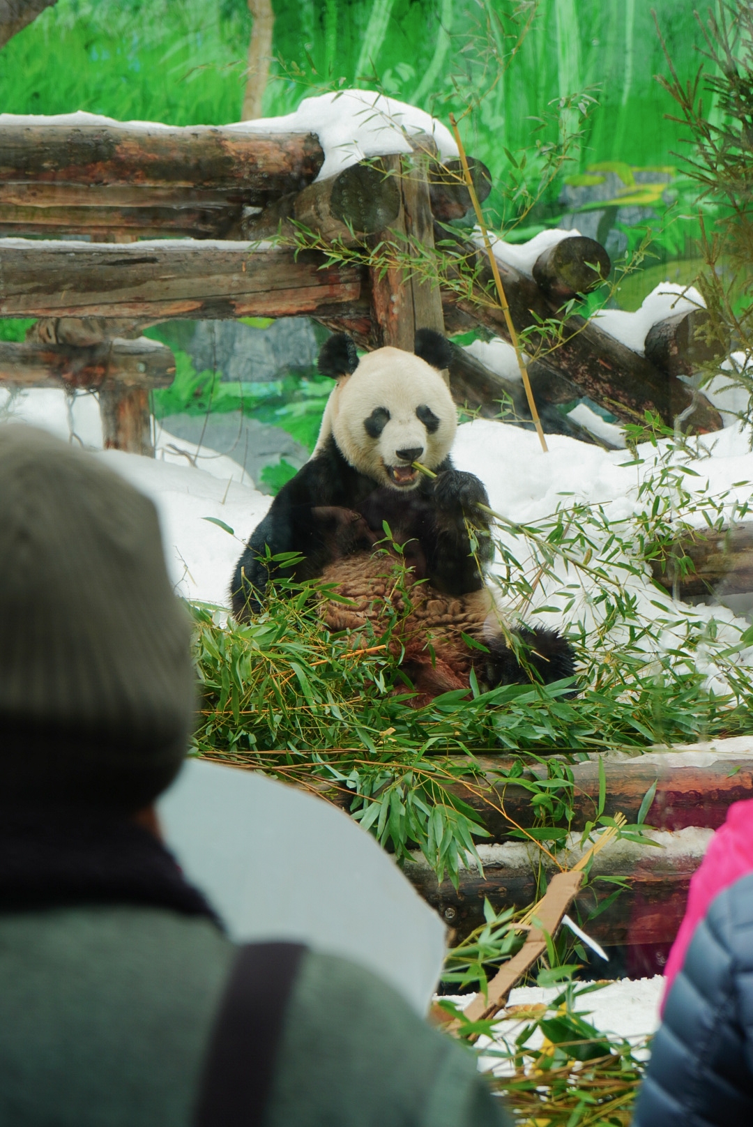 Ну как устоять перед лакомством в первый день весны?