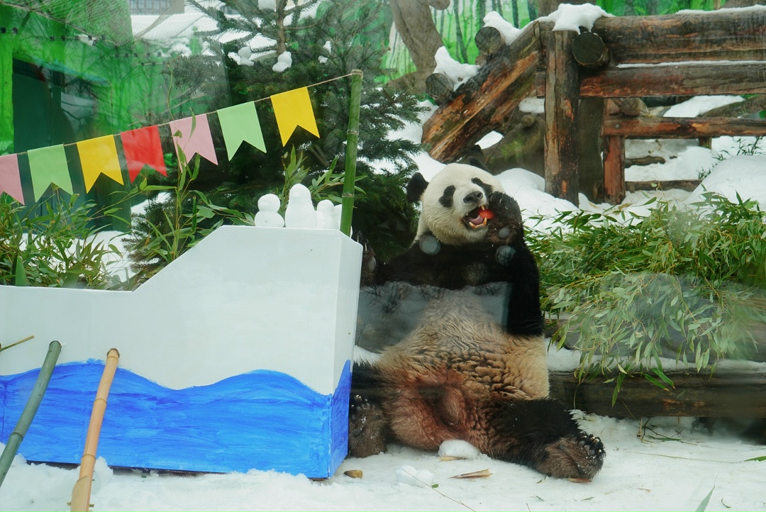 Ну как устоять перед лакомством в первый день весны?