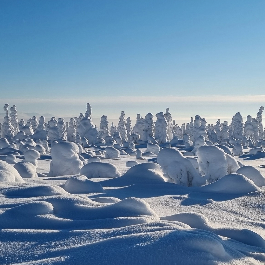 Небо в синих и оранжевых разводах, причудливые снежные торосы и вязкое море облаков не над головой, а прямо под ногами. Это планета Уран? Нет – это Урал.