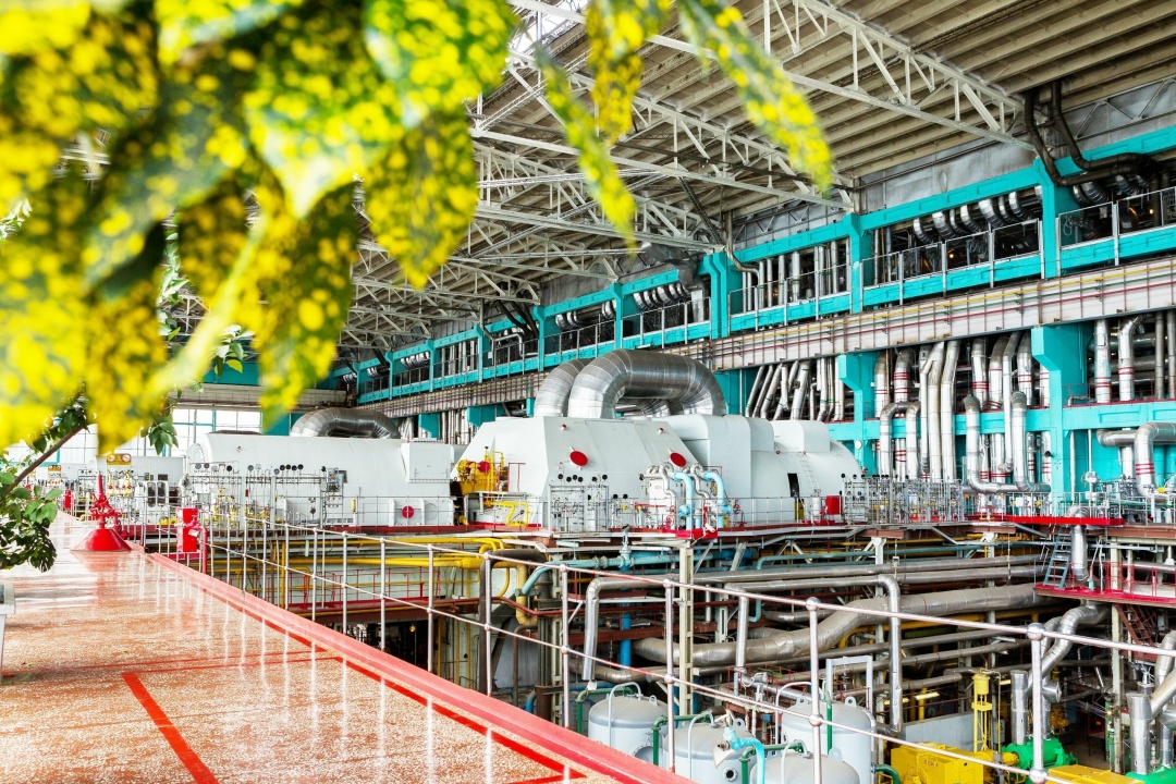 Где в Заречном растут лимоны? Конечно, на Белоярской АЭС.