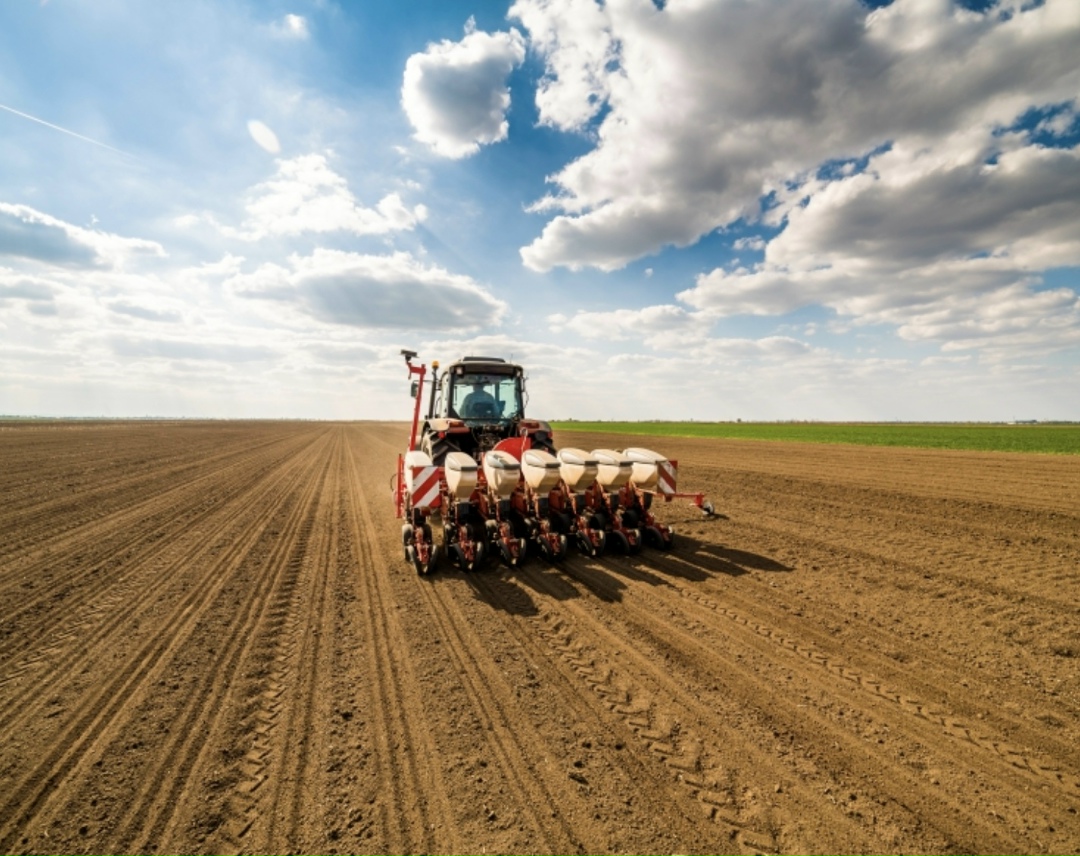 В Краснодарском крае стартовала весенняя посевная кампания. Аграрии начали с сева гороха, далее на очереди пшеница, рис, сахарная свекла, подсолнечник,…