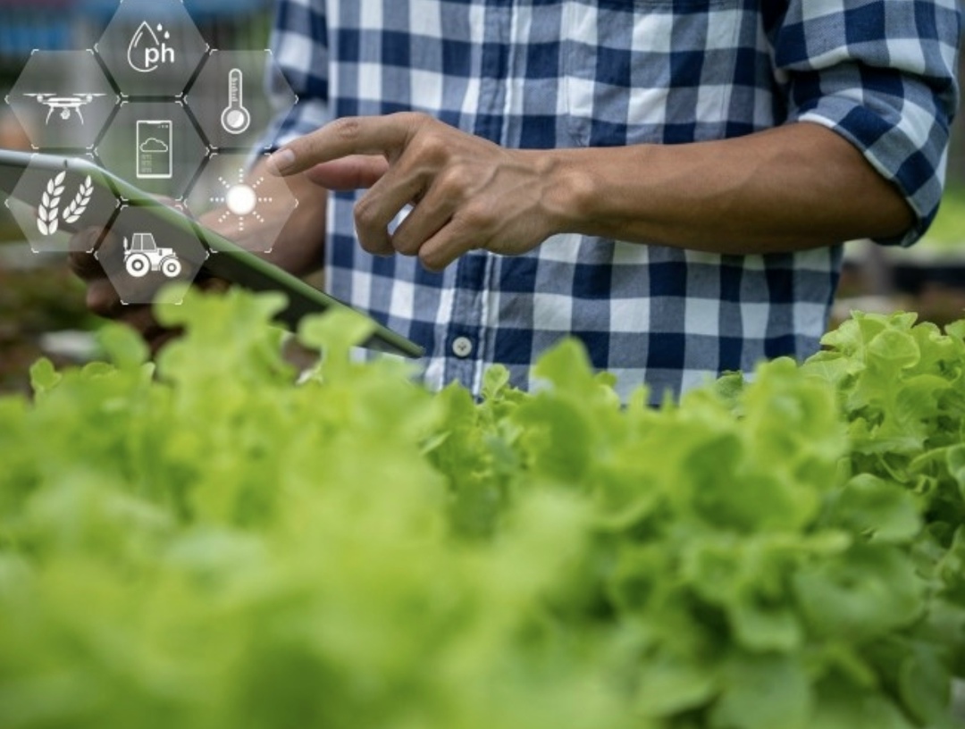 По итогам 2025 года Ростовская область стала лидером по спросу на сельхозработников-вахтовиков, знакомых с технологиями ИИ и автоматизацией, — он вырос в 2,2…