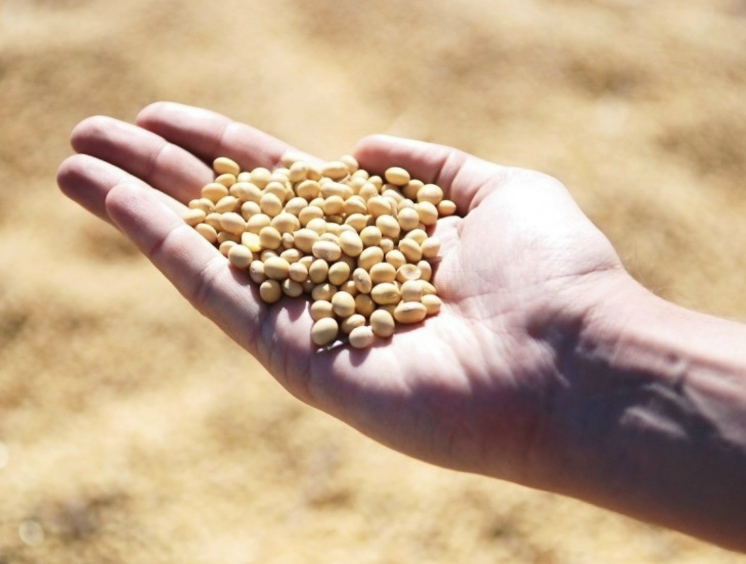 Крупнейший на Дальнем Востоке МЭЗ будет запущен в Амурской области. Об этом губернатор региона Василий Орлов сообщил президенту Владимиру Путину. «Владимир…