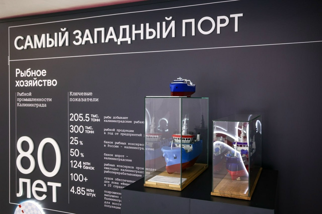 Председатель Совета Федерации Валентина Матвиенко провела встречу с руководством Калининградской области