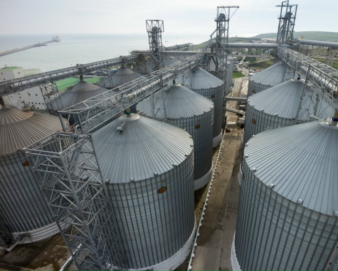 По предварительным оценкам, экспорт пшеницы в феврале составил около 2,75 млн т. Годом ранее было отгружено 2,07 млн т, сравнил аналитический центр…