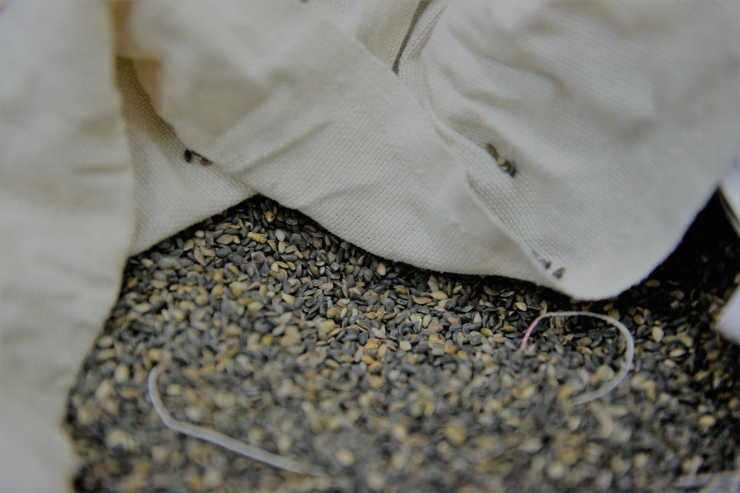 Дмитрий Патрушев: Россия полностью обеспечена собственным лесосеменным материалом на текущий год.