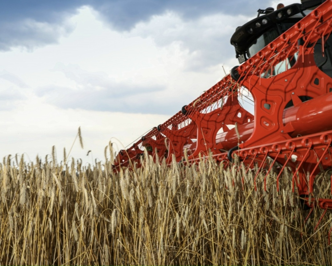 В прошлом году в Государственный реестр селекционных достижений, допущенных к использованию, было включено более 1 тыс