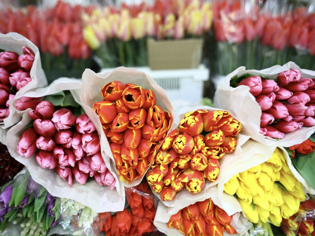 В Подмосковье к 8 Марта один тюльпан в букете из пяти цветов обойдется в 84,44 руб., из семи - в 99,86 руб., а в букете из пятнадцати - 96,63 руб., сообщил…