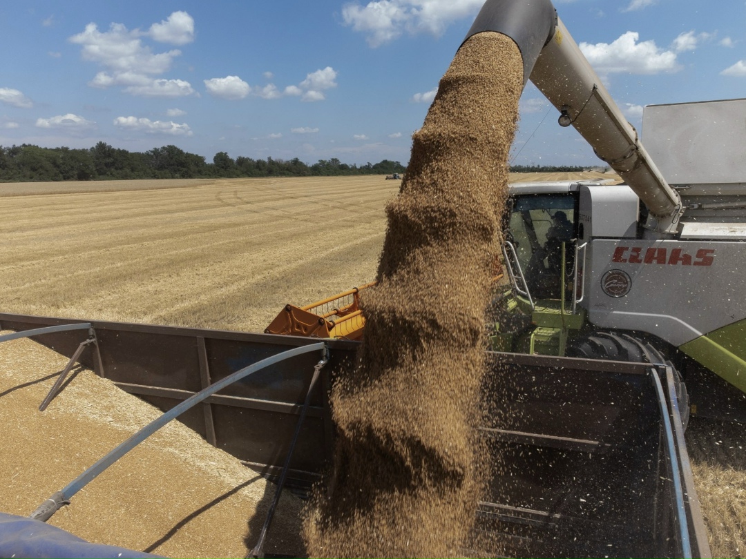 «Прогресс Агро» последовательно реализует стратегию перехода от сырьевой модели к производству продукции с высокой добавленной стоимостью. Ключевым событием…