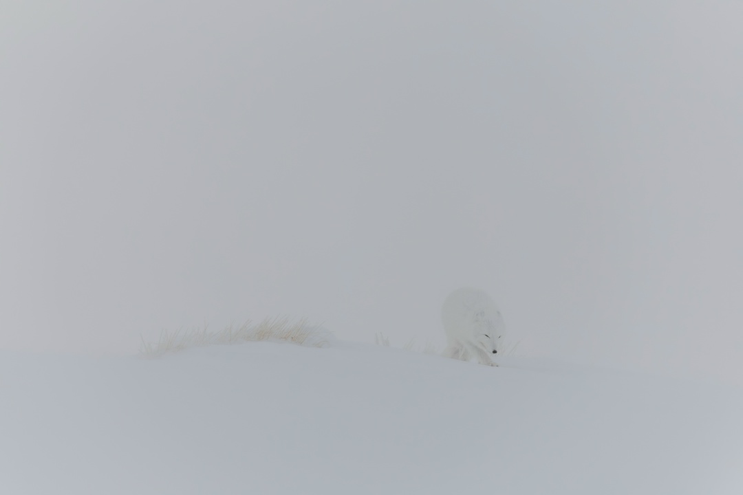 Полуостров Ямал – место, где из-за мороза даже металл становится хрупким, но на людей можно положиться