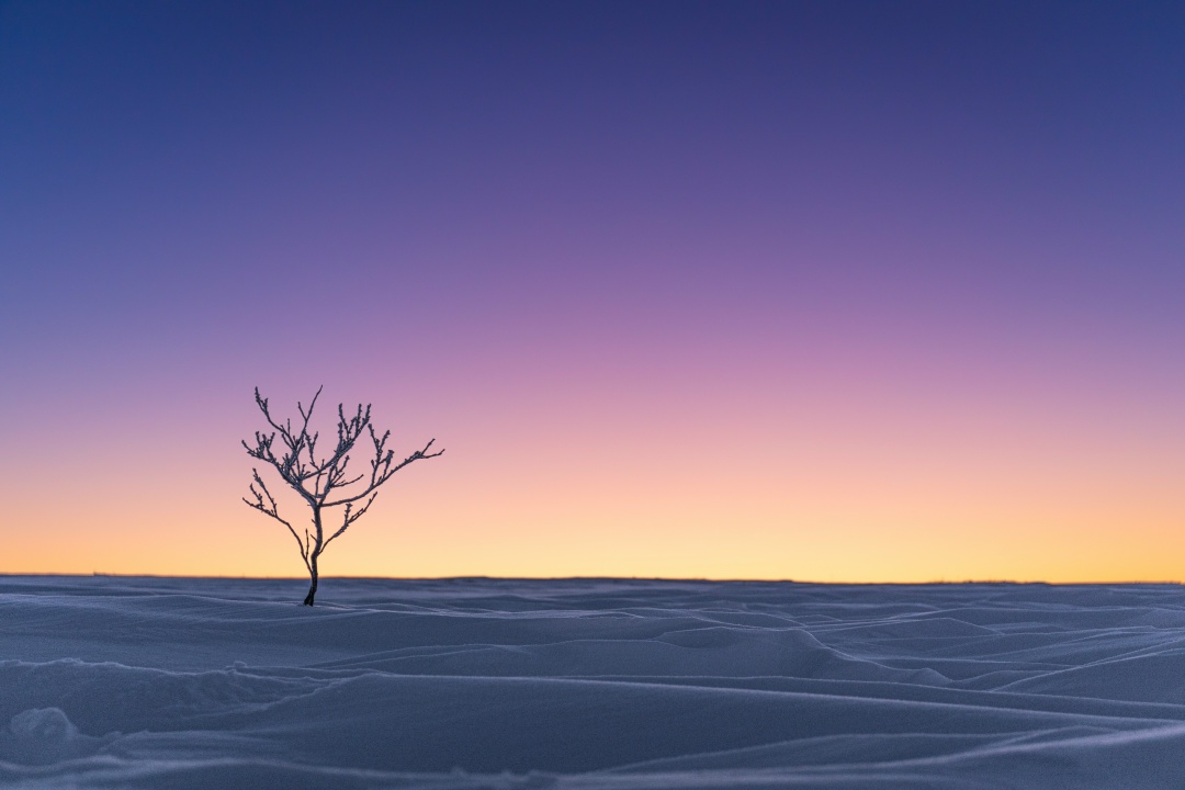 Полуостров Ямал – место, где из-за мороза даже металл становится хрупким, но на людей можно положиться