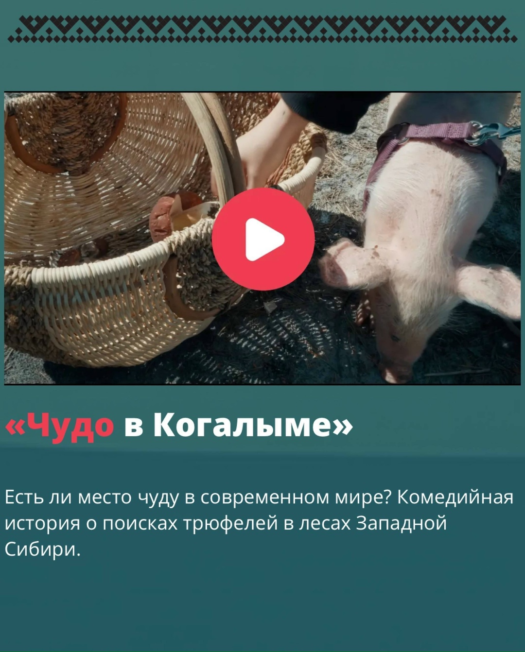 На сайте Коммерсанта: презентация документальных фильмов студенток ВГИКа «Поехали в Когалым»: