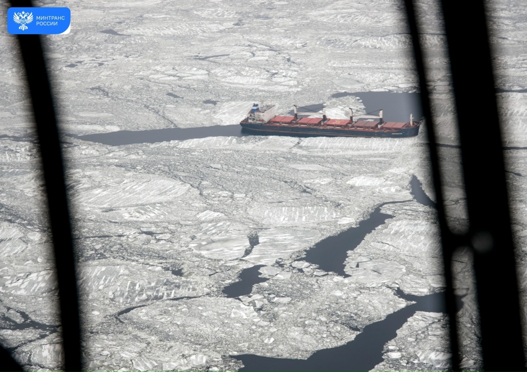 Андрей Никитин: порты Балтики — ключевая артерия России, требующая приоритетного внимания