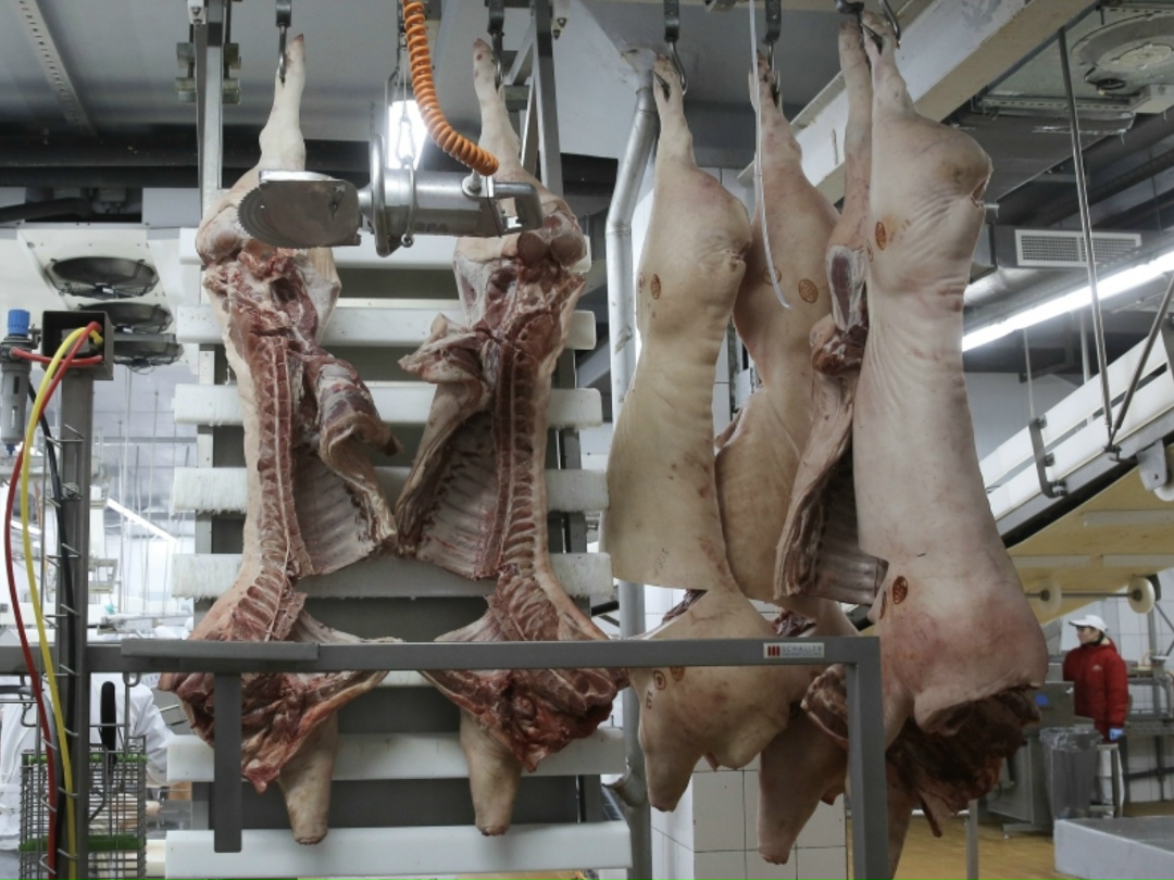 Общий объем инвестиций ГК «Талина» в этом году запланирован на уровне 26 млрд руб., в 2025-м вложения превысили 15 млрд.руб. «На наш взгляд, АПК в 2025 году…