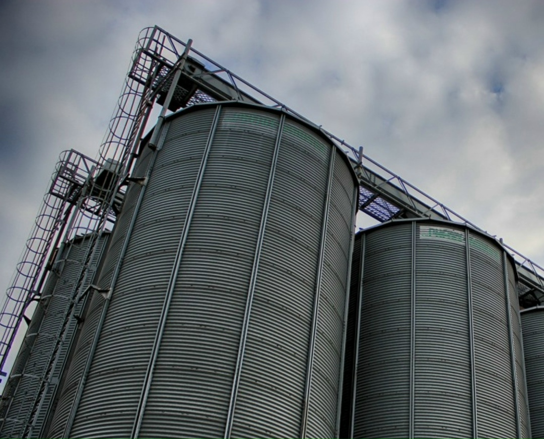 Иностранная сельскохозяйственная служба Минсельхоза США (FAS USDA) снизила прогноз экспорта пшеницы из России в своем мартовском прогнозе. Так, согласно…