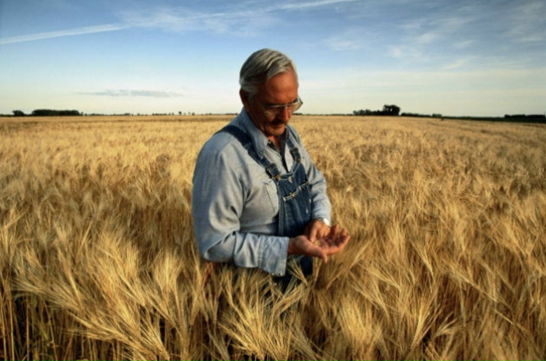 Зарплаты главных агрономов в российском АПК сопоставимы с зарплатами директоров