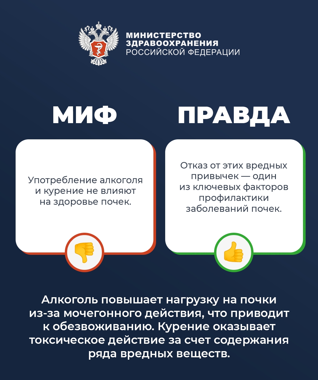 #ПростыеПравила: Мифы и правда о почках