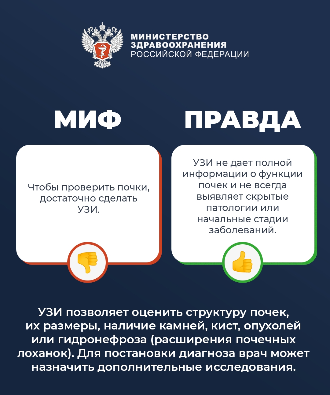 #ПростыеПравила: Мифы и правда о почках