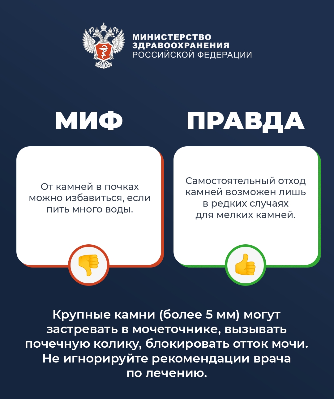 #ПростыеПравила: Мифы и правда о почках