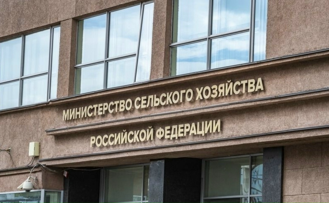 Минсельхоз России подготовил изменения в решение о порядке предоставления субсидий, которые предусматривают пролонгацию на один год льготных краткосрочных…