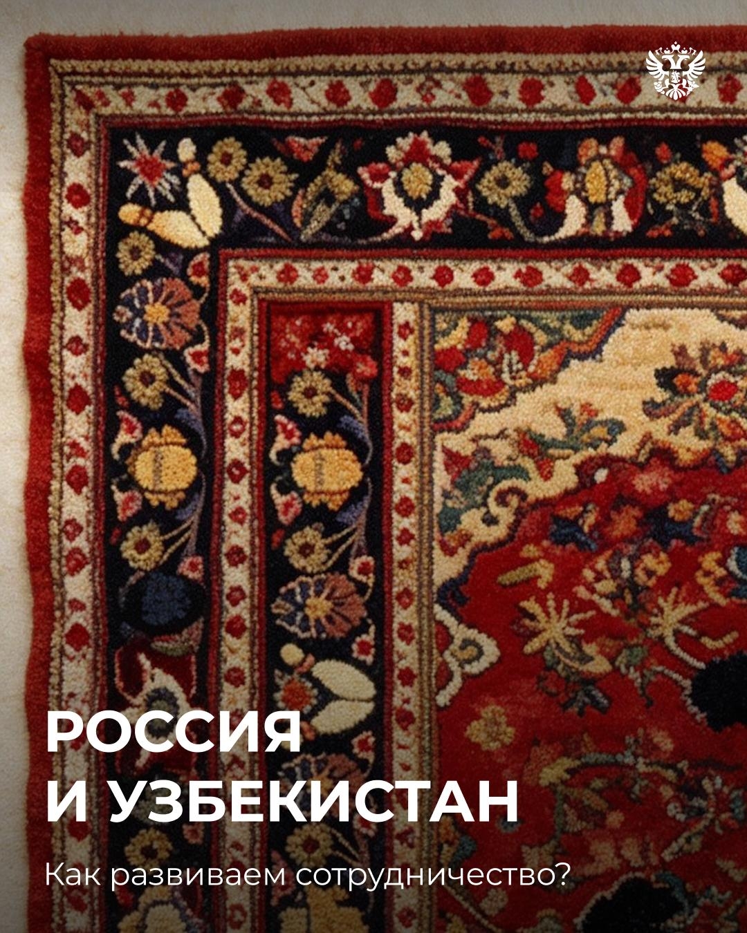 Мы вызываем вас на ковёр. Да не обычный, а узбекский